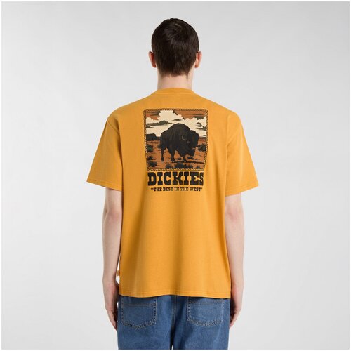 Dickies Majice s kratkimi rokavi Darrtown ss tee Oranžna Cene