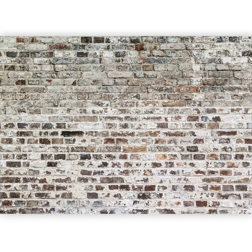  Foto tapeta - Old Walls 343x256 Samoljepljiva Slike