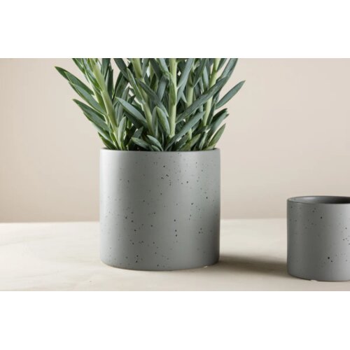 Venture Home tegla za biljke Sane ⌀18 cm, tamnosiva s crnim točkicama Cijene
