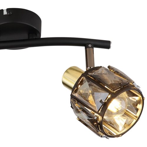 Globo 54357-2B - Stropni spot INDIANA 2xE14/40W/230V Slike