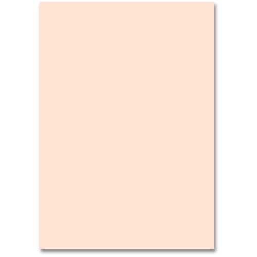  Karton u boji 50x70cm roze Slike