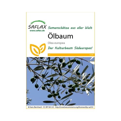 Saflax Oljka Cene