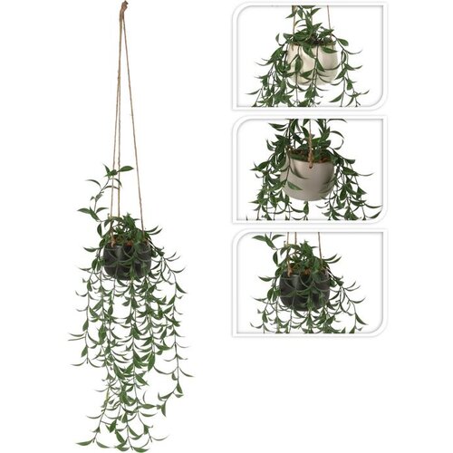  VISEĆA BILJKA PVC Cene