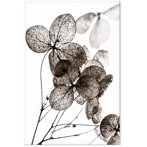  Slika - Transparent Clover (1 Part) Vertical 60x90 Premium Print Slike