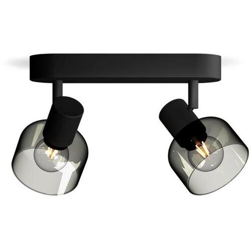 Philips Spot svetiljka SLEET 2xE14/25W/230V Cene
