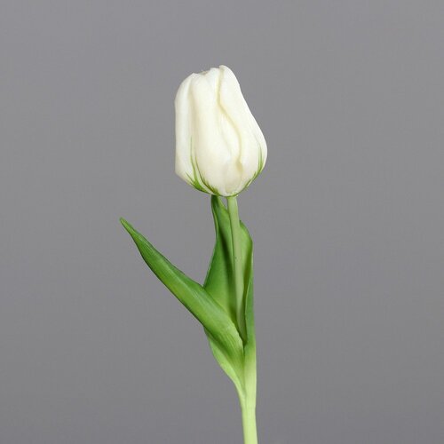Ego Dekor Umetna rastlina (vi&scaron;ina 20 cm) Tulip &ndash; Cene
