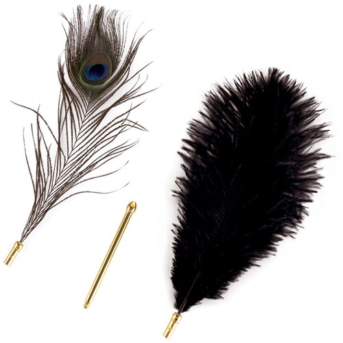 Sevanda Natural Peacock Flirting Feather Tickler Cene