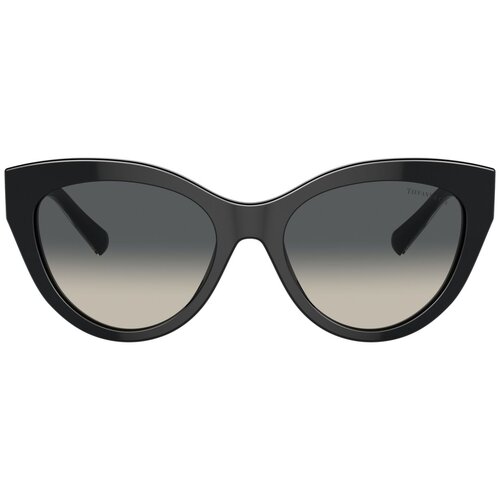 Tiffany Naočare za sunce TF 4220 800171 Cene