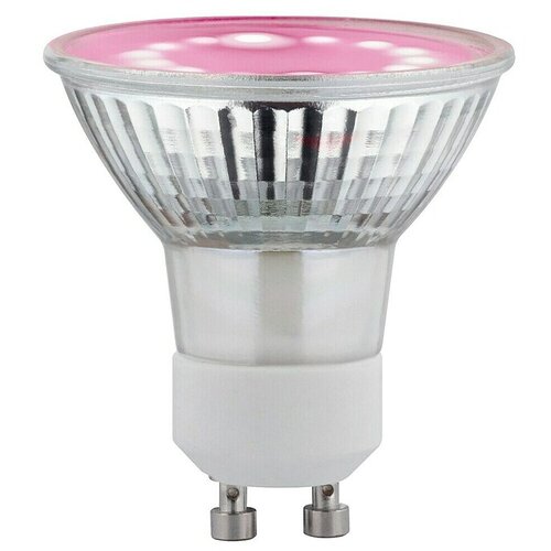 PAULMANN LED žarulja (GU10, 2,4 W, 95 lm, Topla bijela) Cijene