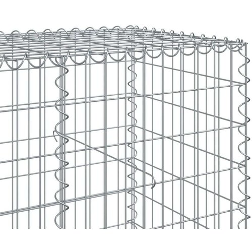 VidaXL Gabionska ko&amp;scaron;ara s poklopcem 250x100x100 cm pocinčano željezo Slike