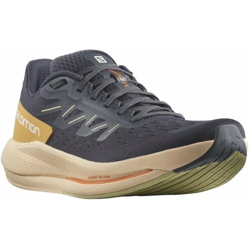 Salomon Spectur W Ebony/Almond Cream/Leek Green 38 2/3 Cijene
