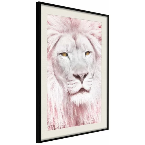  Poster - Dreamy Lion 40x60