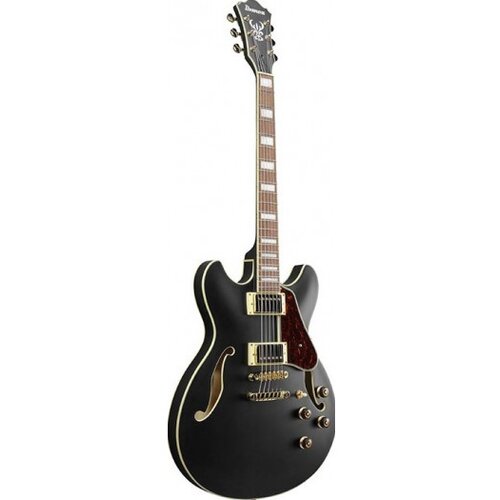 Ibanez Električna gitara AS73G-BKF, Semi hollow, Black flat Cene