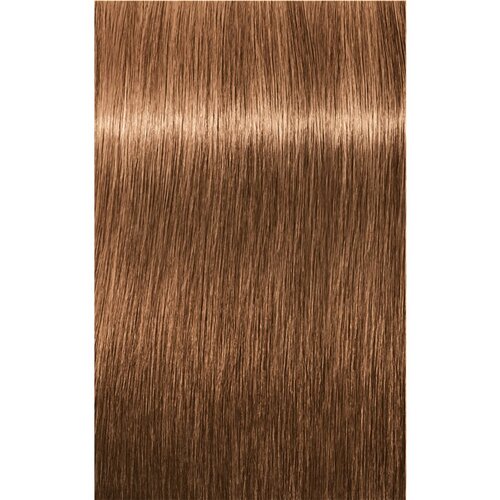 Schwarzkopf igora Royal - 7-65 srednje blond čokoladno zlata, 60 ml Slike