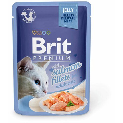 BRIT Premium by Nature Brit Premium Cat Delicate Fileti u želeu sa lososom 85 g kesica Cene
