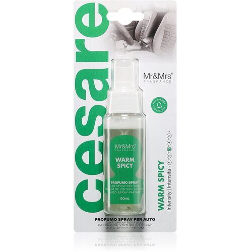 Mr & Mrs Fragrance Cesare Warm Spicy osvežilec zraka za v avto 50 ml Cene