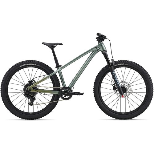  Bicikl LIV STP 24-LIV Alpine Green - One Size Cijene