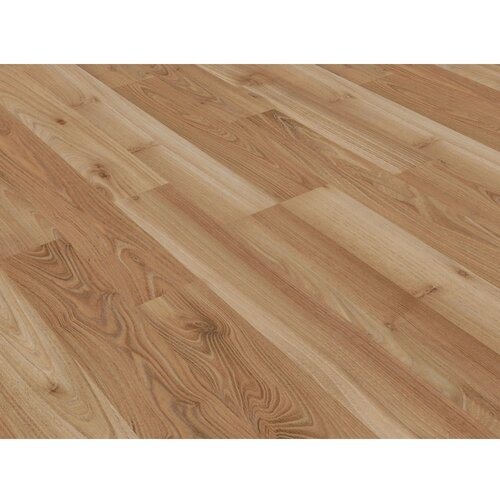 Comfort laminat brest royal elm 7 mm Cene