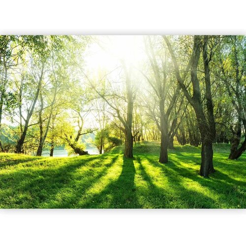  Foto tapeta - Sunny May Day 100x70 Standard Cene