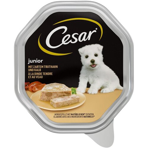 Cesar Classics Pa&scaron;teta za &Scaron;tence Junior sa Ćuretinom i Teletinom, 150g Cene