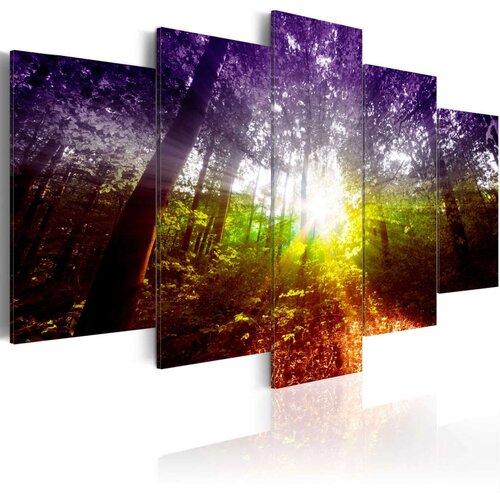  Slika - Rainbow Forest 100x50 Slike