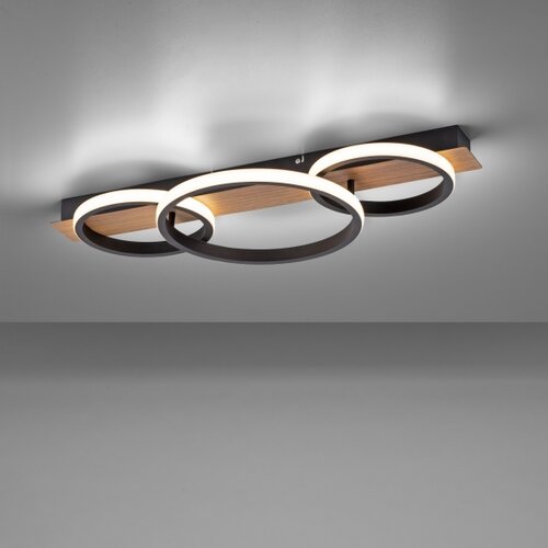 PAUL NEUHAUS Leuchten Direkt 15616-78 - LED plafonsko svetlo TROOPER LED/37W/230V Slike