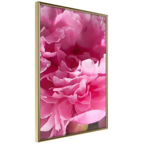  Poster - Magenta Madness 40x60