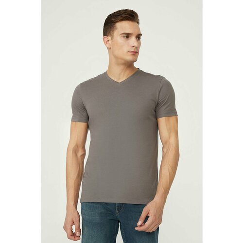 Avva Men's Anthracite 100% Cotton V Neck Standard Fit Regular Cut T-shirt Slike
