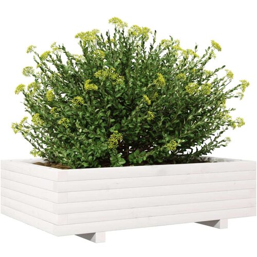 vidaXL Vrtno cvetlično korito belo 90x60x26,5 cm trdna borovina Cene