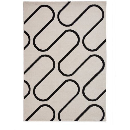 Catherine Lansfield Crno-bijeli tepih 80x150 cm Linear Curve &amp;ndash; Slike