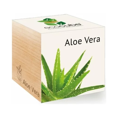 Feel Green ecocube "Exotics" - Aloe vera