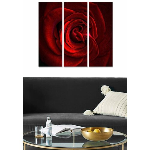 Wallity Set slika MDF231887680, 3 dijela Cijene