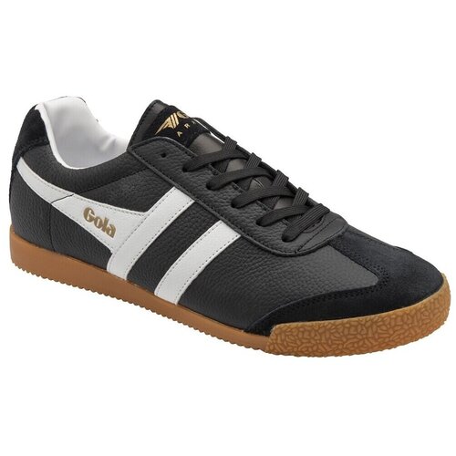 Gola Nizke superge Harrier Leder pisana Slike