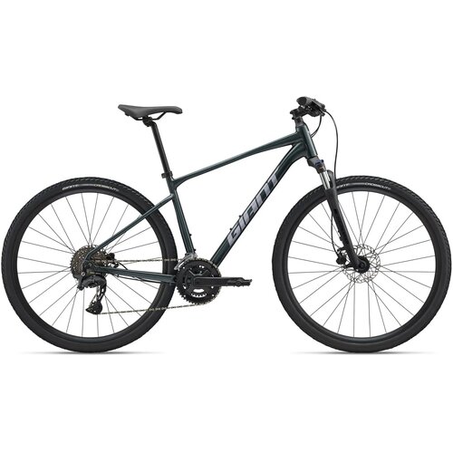  Bicikl GIANT Roam 2 Asphalt Green - XL Cene