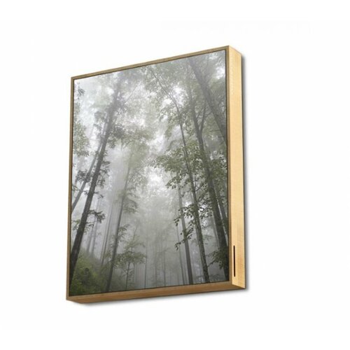 Energy Sistem Frame Speaker Forest zvučnik Slike