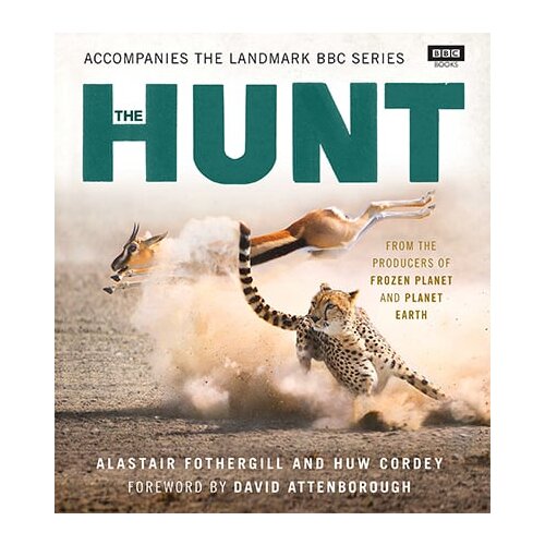 Creative Kingdom Books Alastair Fothergill, Huw Cordey - The Hunt Cene