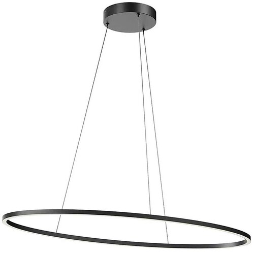 Redo 01-3339 - LED prigu&scaron;iva luster na lanku LEO LED/48W/230V crna Cene