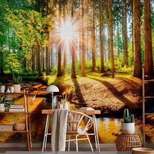  Foto tapeta - Marvelous Forest 350x256 Standard Slike