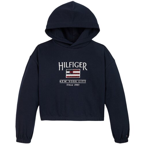 Tommy Hilfiger Sweater majica mornarsko plava / rubin crvena / bijela Slike