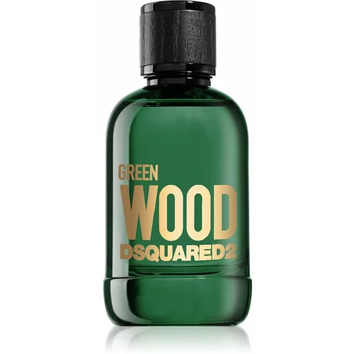 Dsquared2 Green Wood toaletna voda za moške 100 ml