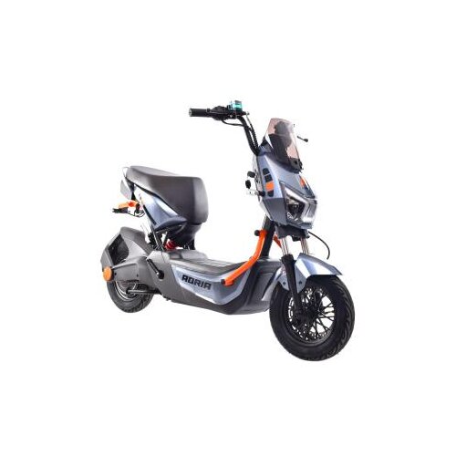Capriolo Bicikl E-bike E2 RX20 sivi (292027-S) Cene