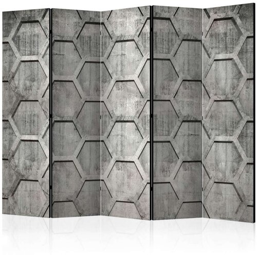  Paravan u 5 dijelova - Platinum cubes II [Room Dividers] 225x172 Slike