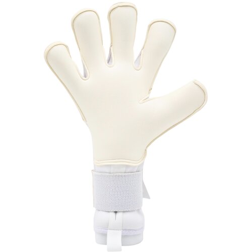 Rg aspro 2025/26 Slike
