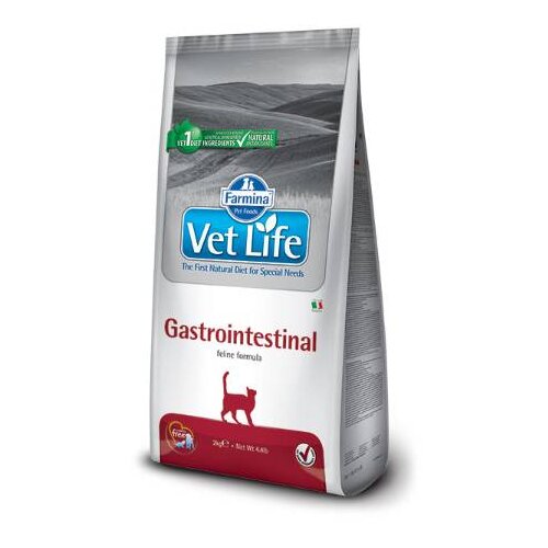 Vet Life Gastrointestinal 400g Cene