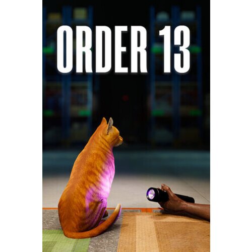  order 13 steam key (pc) europe Cene