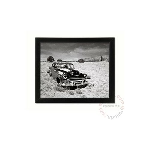 Deltalinea crno bela slika Grassy Fields 40 x 50 cm Slike
