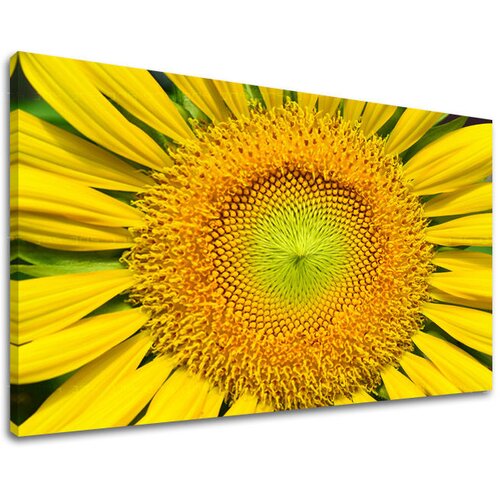  Slike na platnu cveće  (moderne slike na platnu) Cene