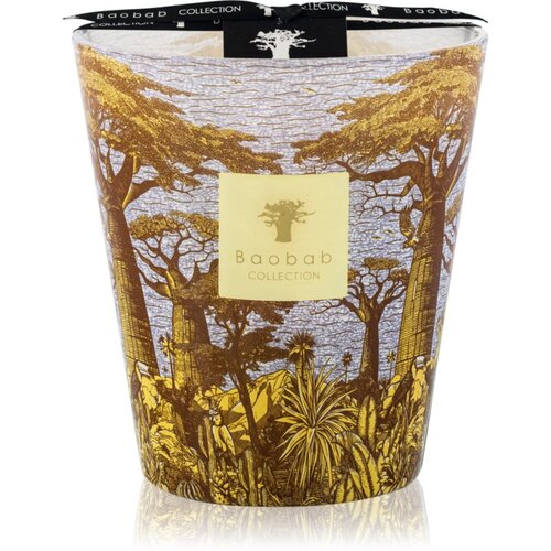 Baobab Collection Sacred Trees Cocody dišeča sveča 16 cm Cene