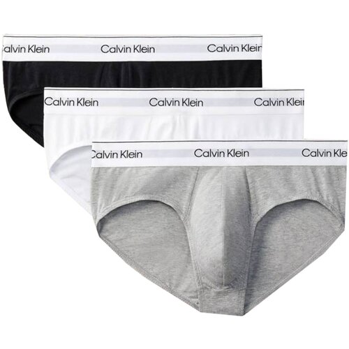 Calvin Klein Jeans Spodnje hlače HIP BRIEF 3PK LV00NB4388 Siva Slike