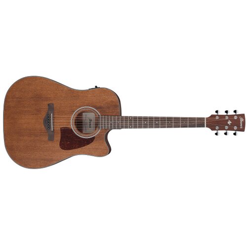 Ibanez Akustična ozvučena gitara AW54CE-OPN, Open Pore Natural Cene